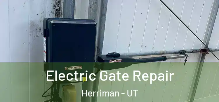 Electric Gate Repair Herriman - UT