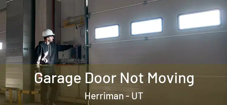  Garage Door Not Moving Herriman - UT