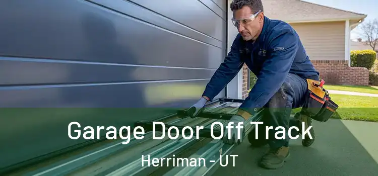 Garage Door Off Track Herriman - UT