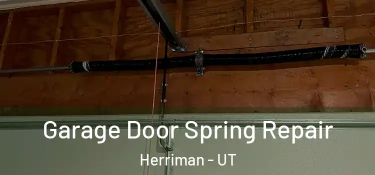  Garage Door Spring Repair Herriman - UT