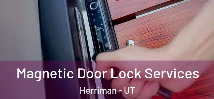 Magnetic Door Lock Services Herriman - UT